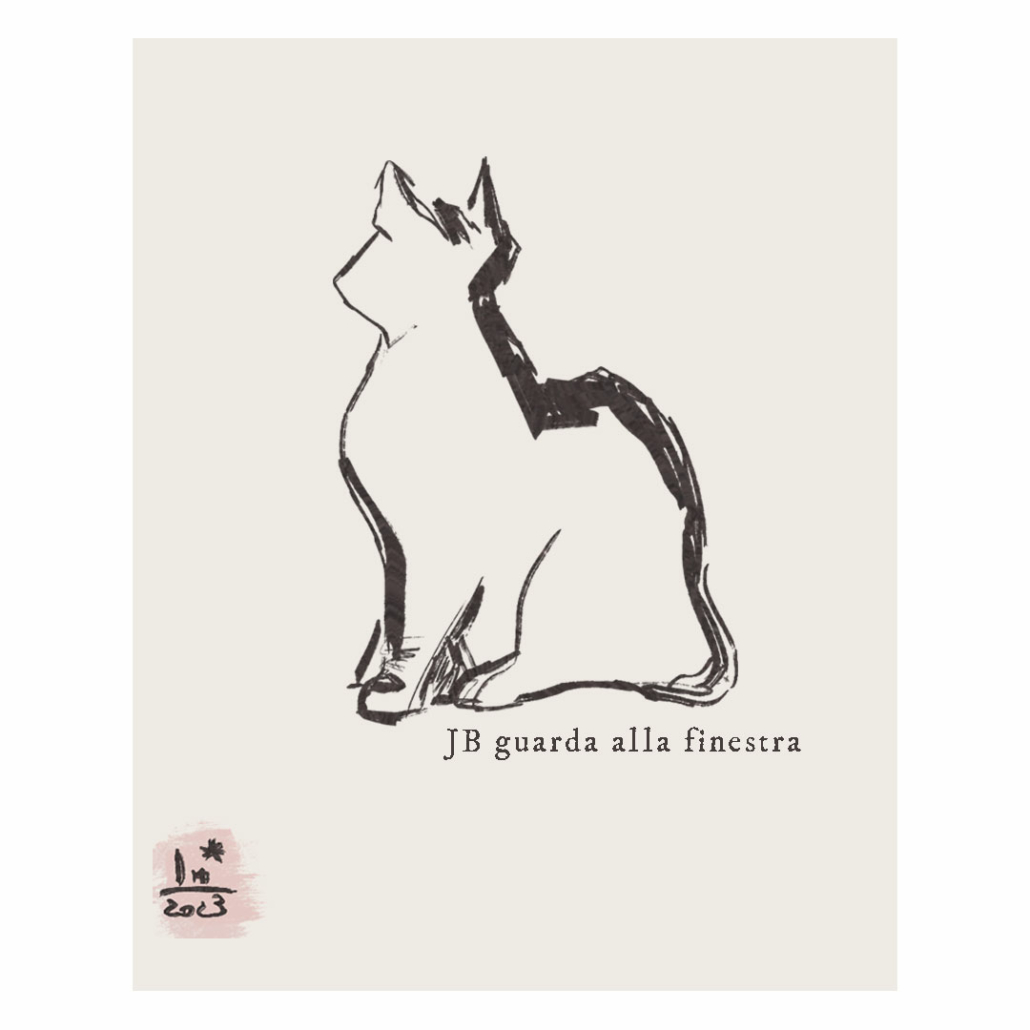 illustrazione gatto che guarda alla finestra realizzata da Laura Michelotti web designer a Firenze