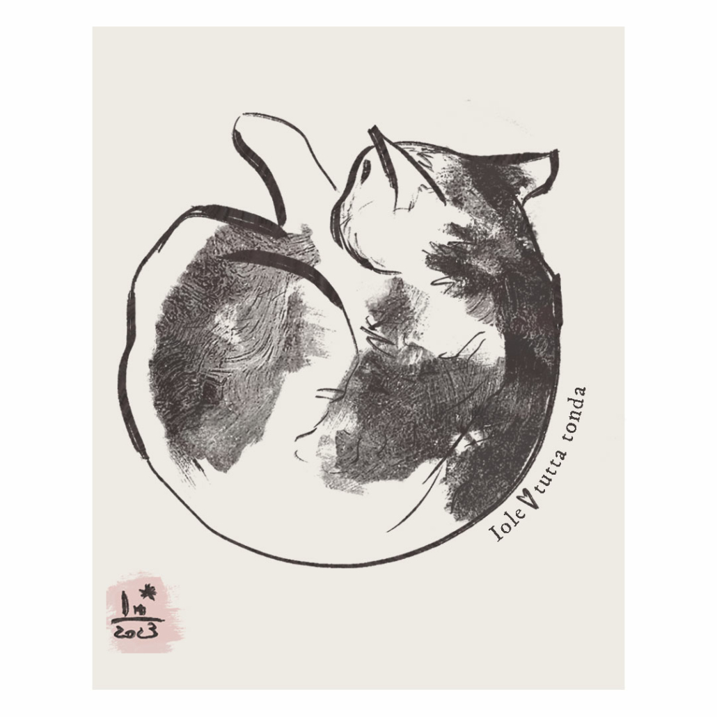 illustrazione gatto bicolore che dorme realizzata da Laura Michelotti web designer a Firenze